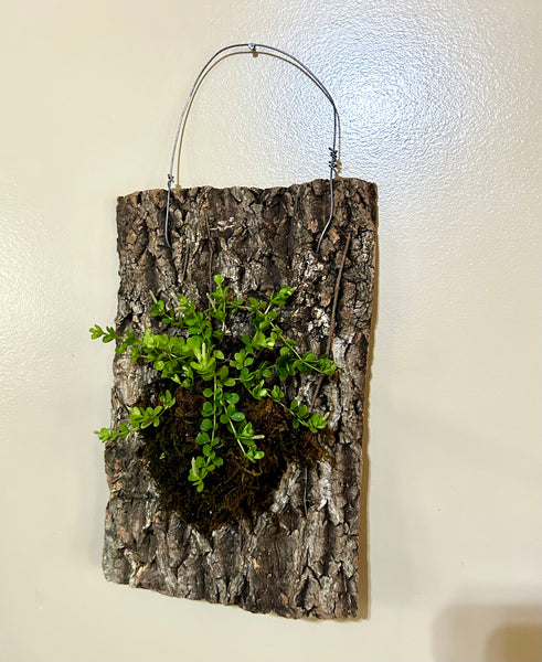 February 21st Mounted Plant Workshop