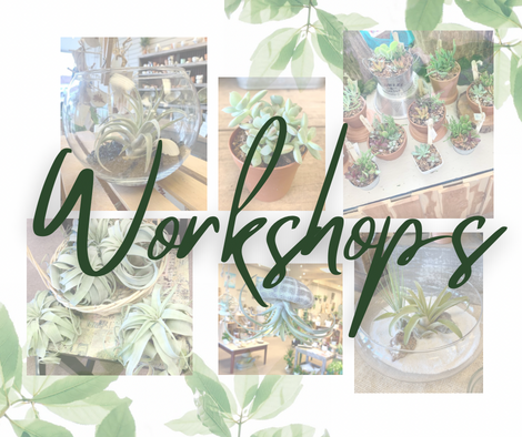 Tiny Twig Workshops