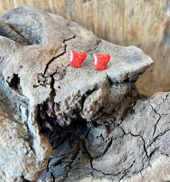 Red Gladiolus Arkansas Post Earrings