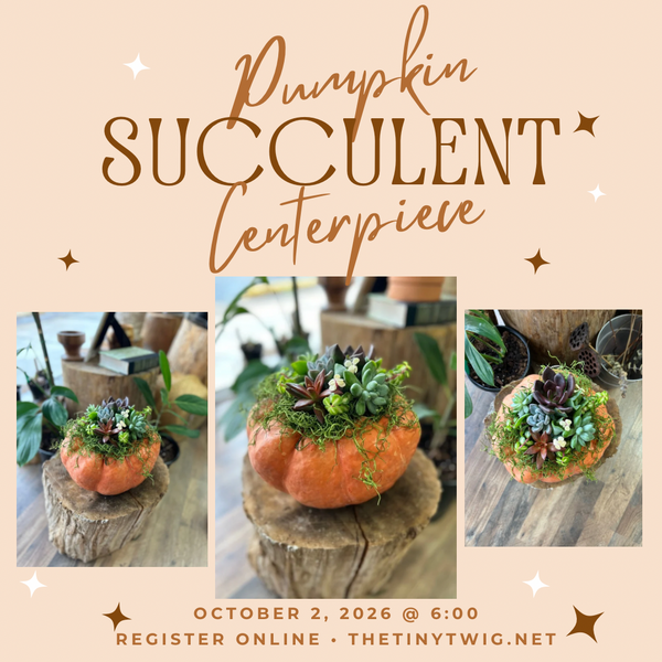 October 2nd Pumpkin Succulent Centerpiece Workshop