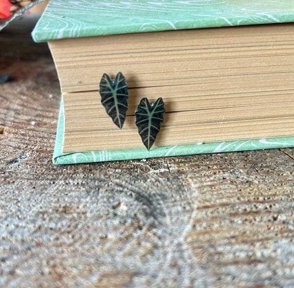 Alocasia Post Earrings