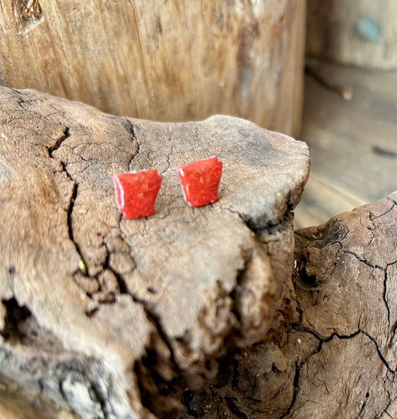 Red Gladiolus Arkansas Post Earrings