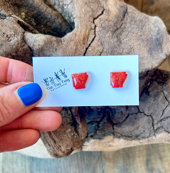 Red Gladiolus Arkansas Post Earrings