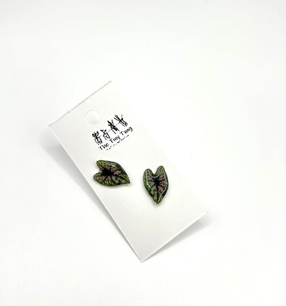 Caladium Post Earrings
