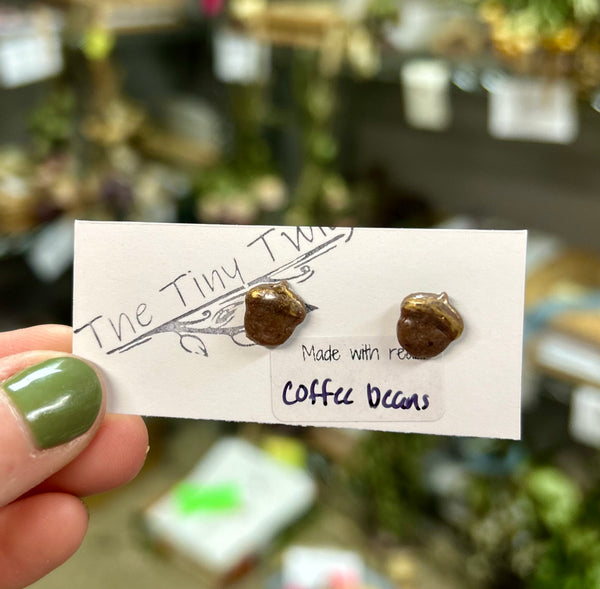 Acorn Post Earrings made with Coffee Beans