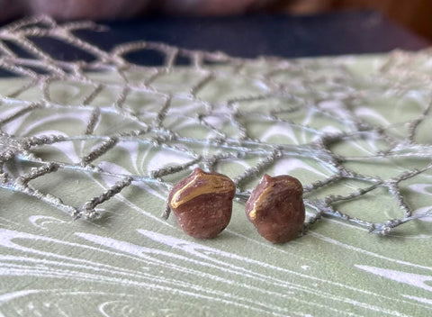 Acorn Post Earrings made with Coffee Beans