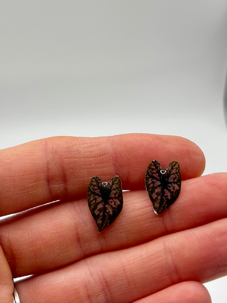 Caladium Post Earrings