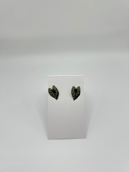 Caladium Post Earrings