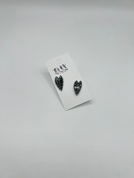 Alocasia Post Earrings