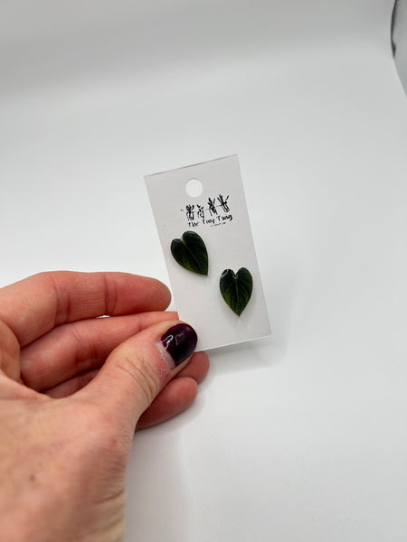 Philodendron Post Earrings