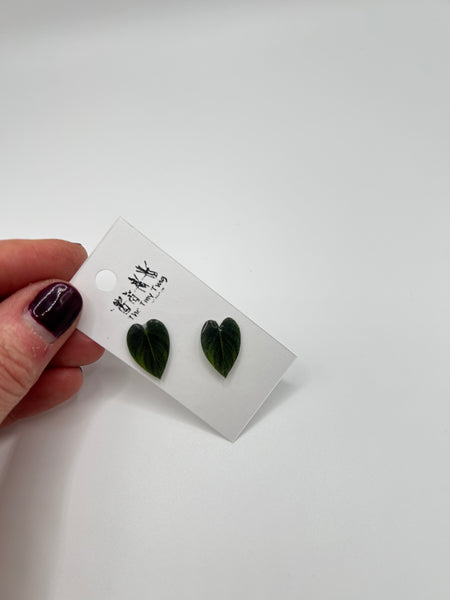 Philodendron Post Earrings