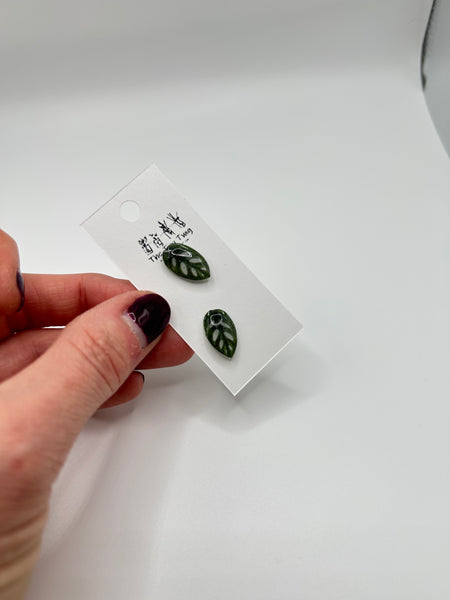 Monstera Adansonii Post Earrings