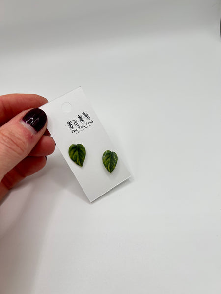 Pothos Post Earrings