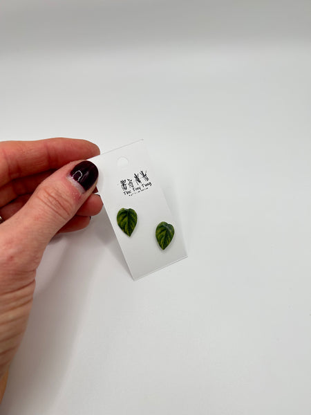 Pothos Post Earrings