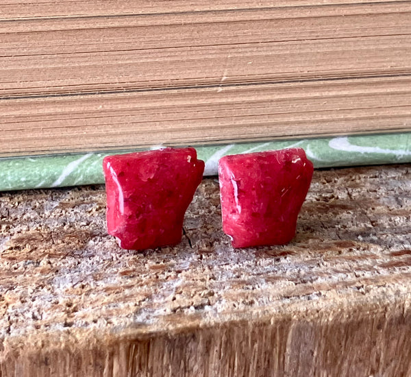 Arkansas Post Earrings
